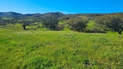 Rustic property in Aracena photo 40