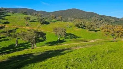 Rustic property in Aracena photo 41