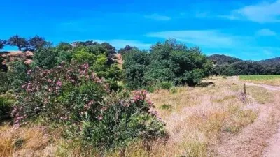 Rustic property in Aracena photo 43