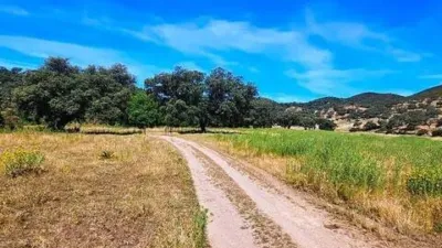 Rustic property in Aracena photo 45