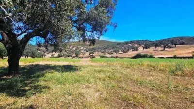 Rustic property in Aracena photo 46