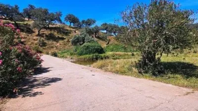 Rustic property in Aracena photo 48