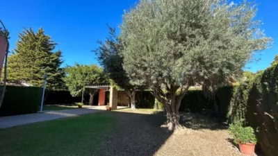 House in Orihuela photo 48