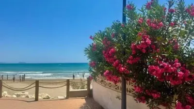 Casa - Més