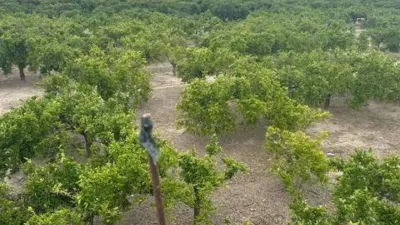Terreno en venta en Calle Vereda del Rincon, 1 - Vista 3