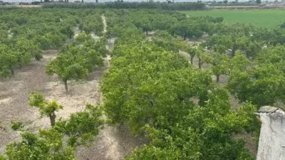 Terreno en venta en Calle Vereda del Rincon, 1 - Vista 5