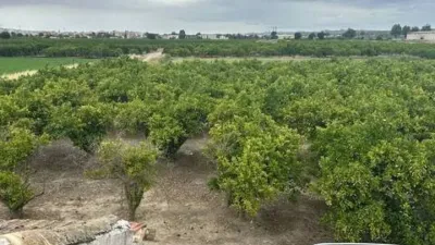 Terreno en venta en Calle Vereda del Rincon, 1 - Más
