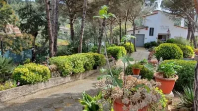Rustic house in Maçanet de la Selva photo 18