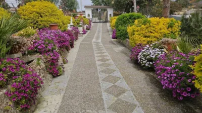 Rustic house in Maçanet de la Selva photo 20