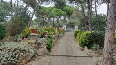 Rustic house in Maçanet de la Selva photo 5