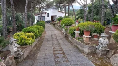Rustic house in Maçanet de la Selva photo 8