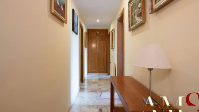 House in Santa Cristina d'Aro photo 45