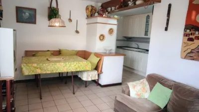 House in Urbanitzacions del Nord photo 42