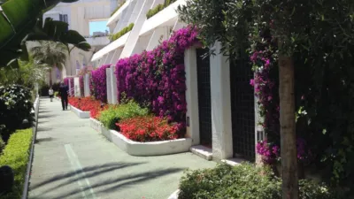 Dúplex en alquiler en Calle de Ramón Gómez de la Serna, 23, Playa de la Fontanilla (Distrito Centro. Marbella) de 11.000 €<span>/mes</span>