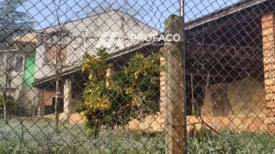 House in San Amaro photo 7