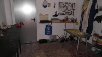 Miniatura 12