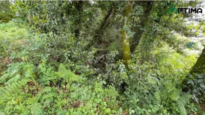 Terreno en venta en Teo - Vista 3