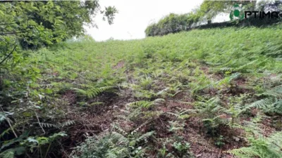 Terreno en venta en Teo - Más