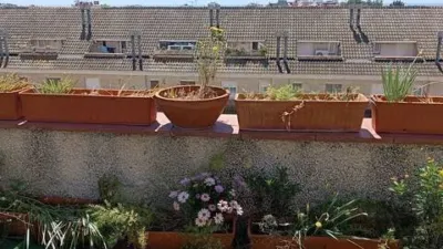 Apartment in Sant Just Desvern photo 11