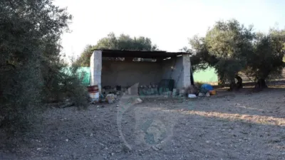 Chalet en Luque photo 25