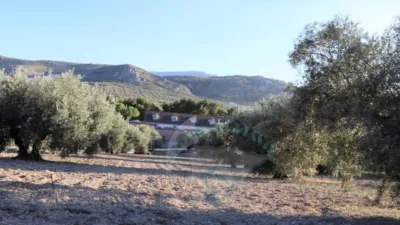 Chalet en Luque photo 26