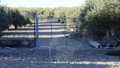Chalet en Luque photo 28