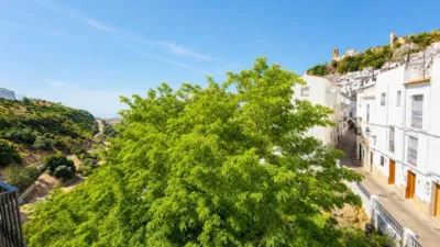 Chalet in Casares photo 20