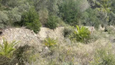 Terreno en venta en Centro - Vista 3