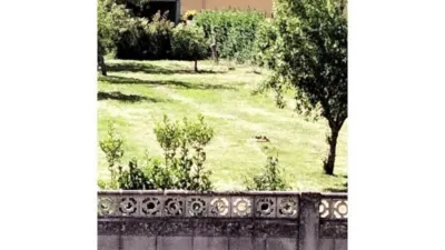 Terreno en venta en Ares - Vista 3