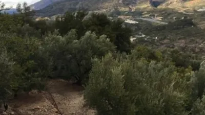 Rustic house in Pinos del Valle photo 5