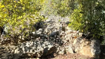 Rustic house in Pinos del Valle photo 7