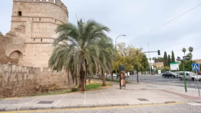 Apartment in San Gil photo 4