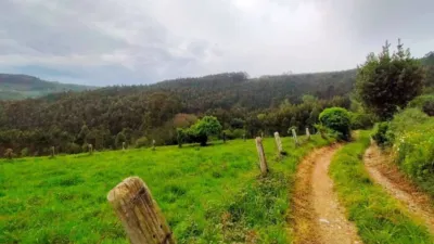 Terreno en venta en Buenavista (Pravia) - Vista 4
