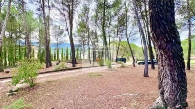 Chalet en Batoy photo 8