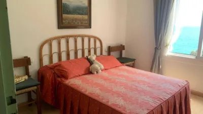 House in Canyelles-La Montgoda photo 21