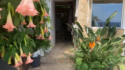House in Canyelles-La Montgoda photo 41