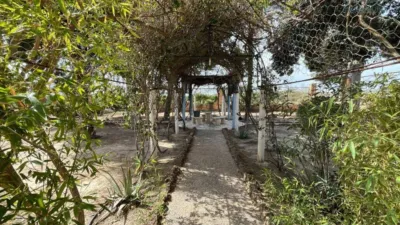 Rustic property in Pedanías photo 49