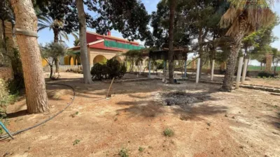 Rustic property in Pedanías photo 50