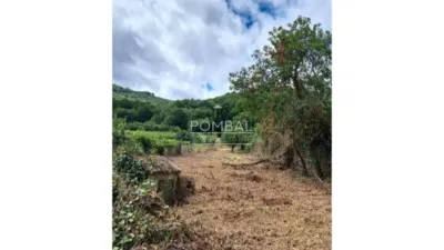 House in A Acea (Allariz) photo 19
