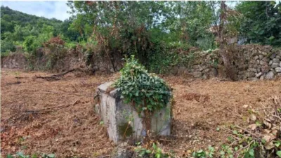 House in A Acea (Allariz) photo 8