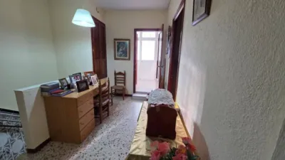 House in Centro photo 25