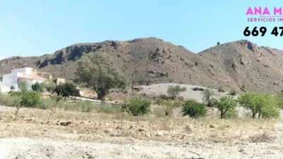 Rustic property in La Hoya-Almendricos-Purias photo 10