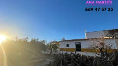 Rustic property in La Hoya-Almendricos-Purias photo 12