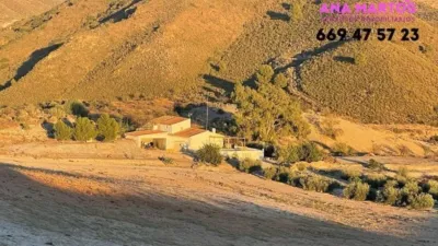 Rustic property in La Hoya-Almendricos-Purias photo 2