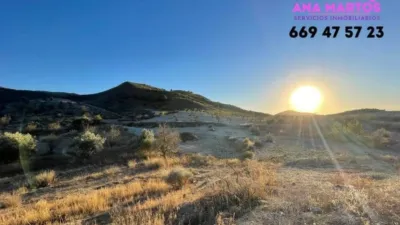 Rustic property in La Hoya-Almendricos-Purias photo 6
