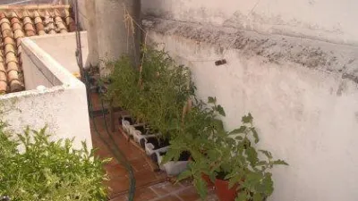 Apartment in Torredonjimeno photo 9