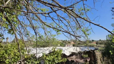 Rustic house in Novelda photo 13