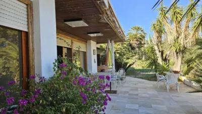 Rustic house in Novelda photo 16
