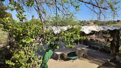 Rustic house in Novelda photo 17