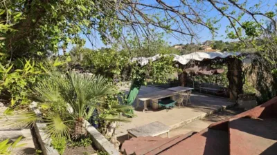 Rustic house in Novelda photo 18
